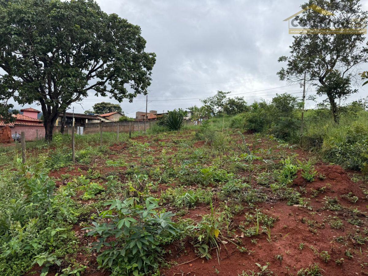 WhatsApp Image 2026-02-08 at 16.03.19.jpeg